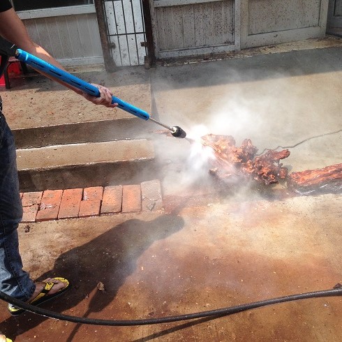 根雕清洗機高壓清洗機 高壓水槍 根雕清洗機高壓清洗機 高壓水槍